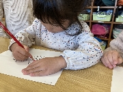 ちょうちょ組だより☆彡